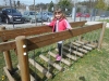 dscn0664