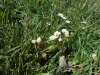 dscn0906