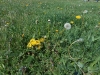 dscn0907