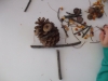 dscf0349