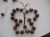dscf0367