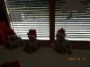 dscn1376