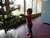 dscn1388