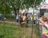 dscn0641