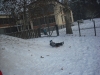 dscf4582