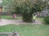 dscf0039