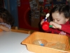 dscn0257