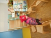 dscn0039_0