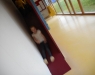 dscn1443