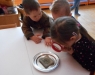 dscn0361