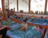 dscn0447