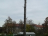 imgp0086
