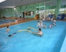 dscn0983