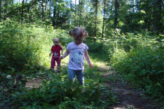 POLŽKI - JUNIJ