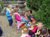 imgp0220