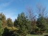 dscn1094