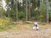 20151006_100356
