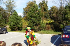 TETKA JESEN IN ŠKRATEK - čebele