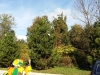 20150923_093726