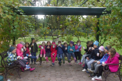 ZANIMIV GOZD (OKTOBER)