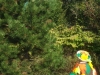 dscf0074